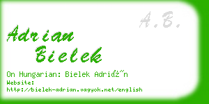 adrian bielek business card